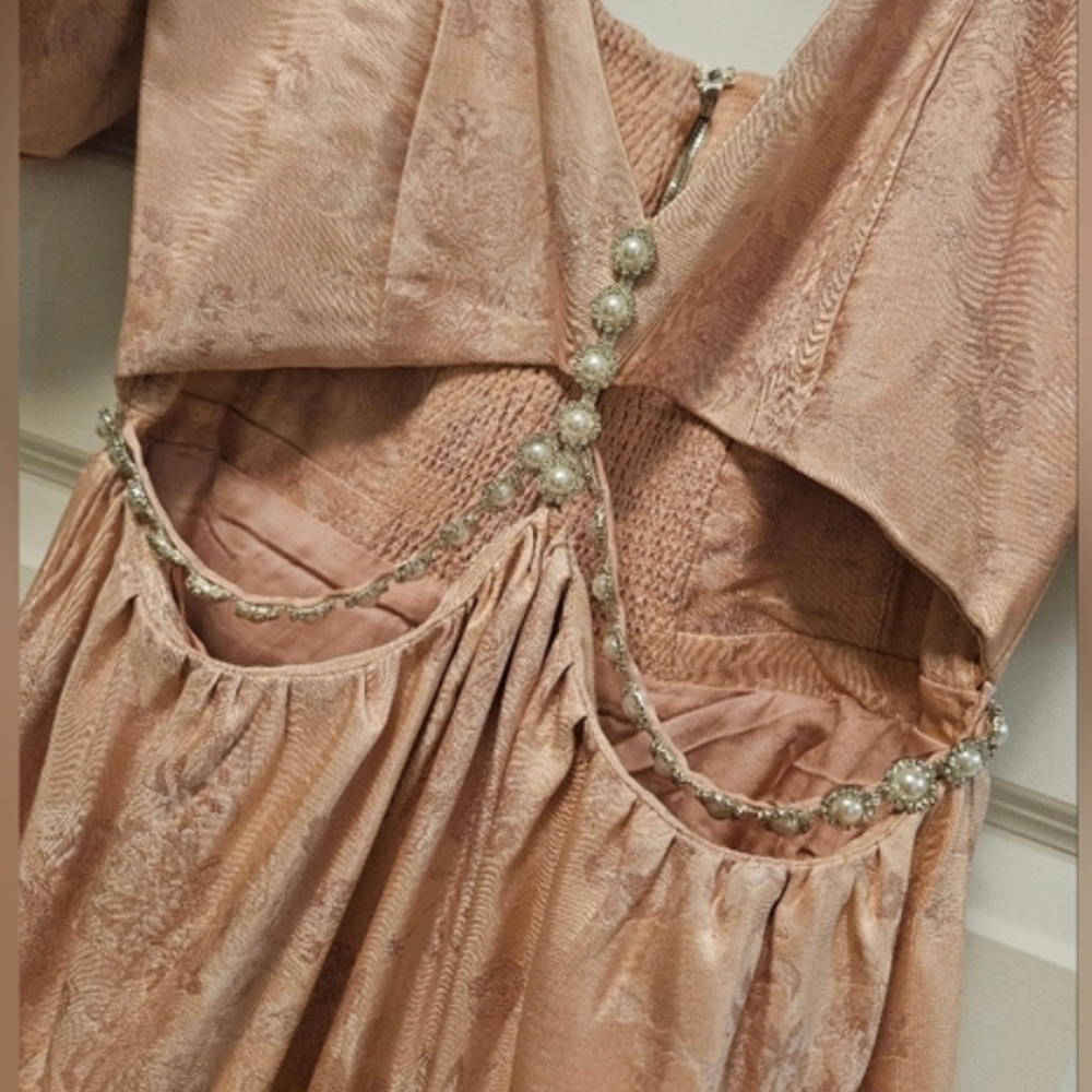 V. Chapman Pink High-Low Gown Plunge Neckline - Picture 7 of 11